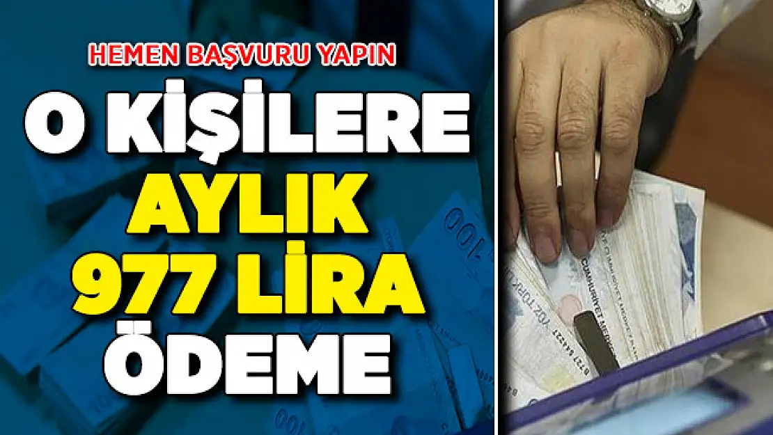 Milyonlarca Kişiye 977 Lira Devlet Yardımı ! Hemen Başvuru Yapın