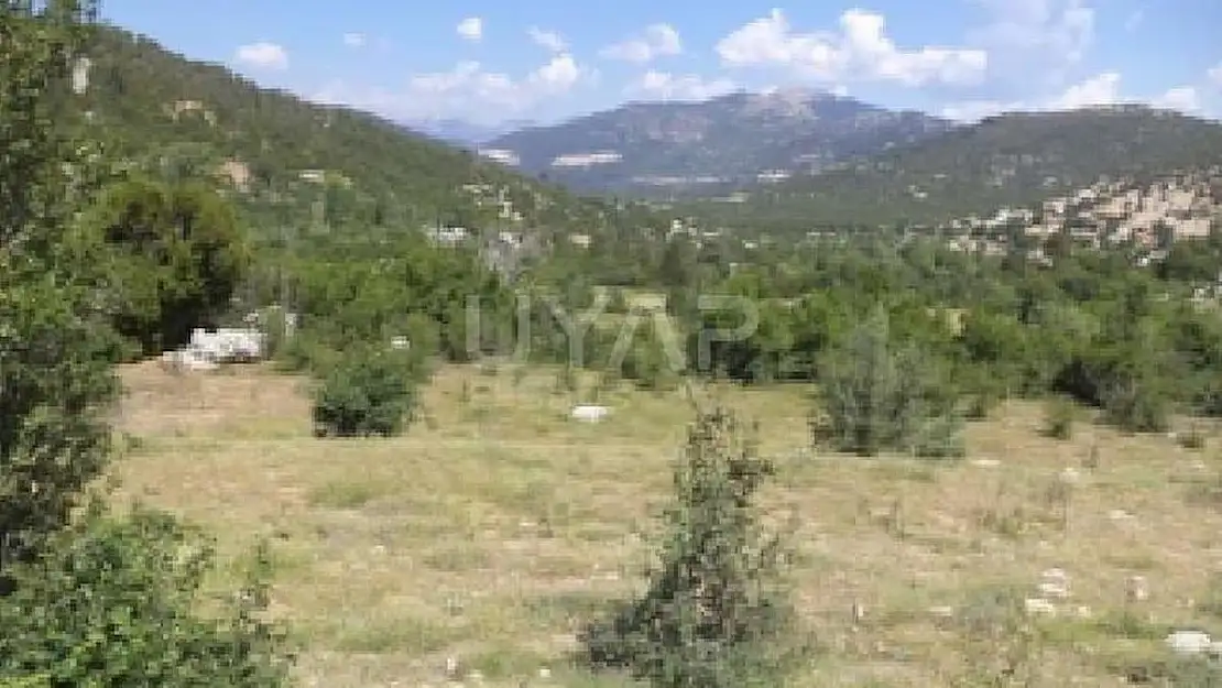Muğla Seydikemer'de Tarla Niteliğindeki Taşınmaz Satışa Çıkıyor