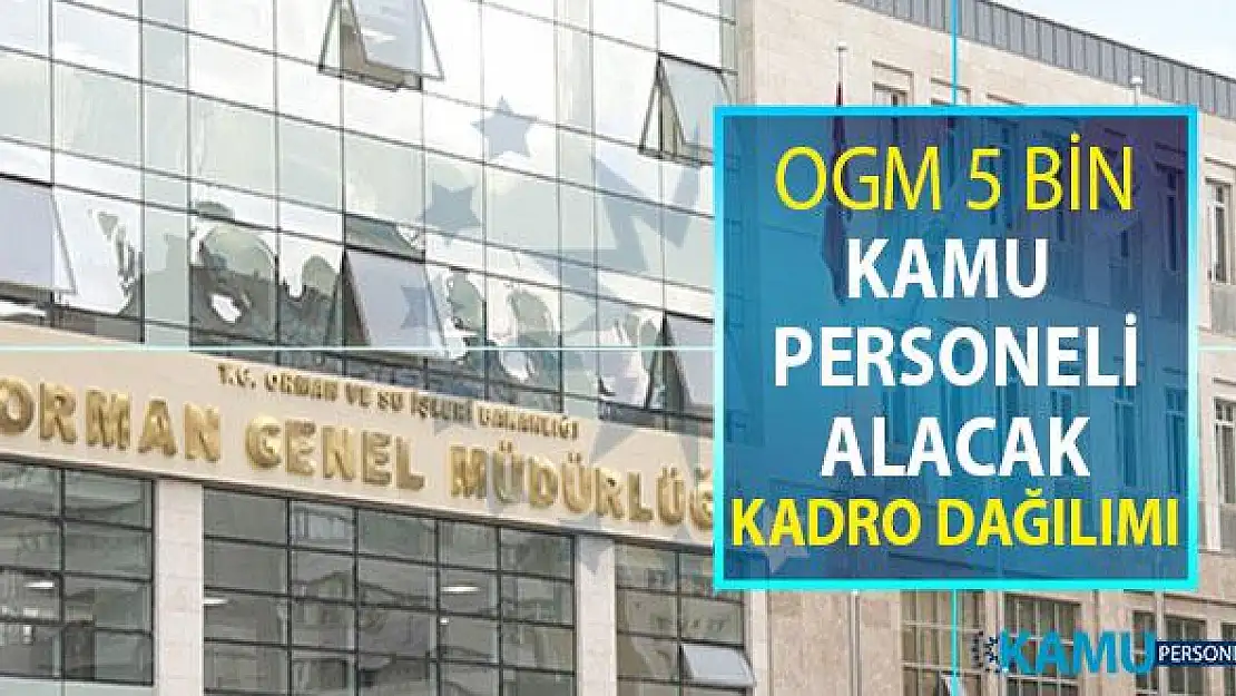 OGM 5 Bin Kamu Personeli Alımı Yapacak ! Kadro Dağılımı Belli Oldu