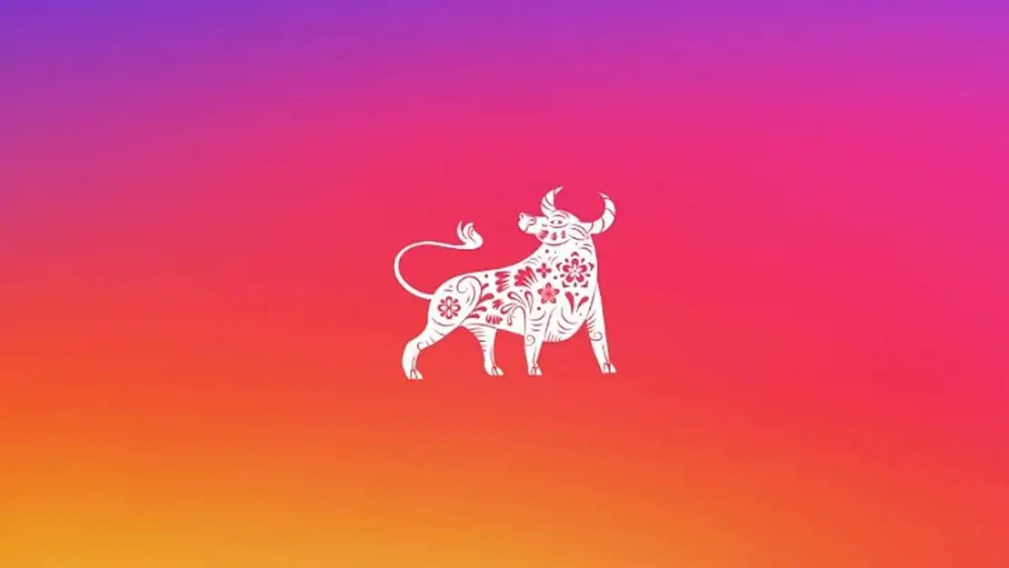 Öküz yılı nedir? İnstagram öküz yılı ne anlama geliyor? Öküz yılı nasıl kullanılır?