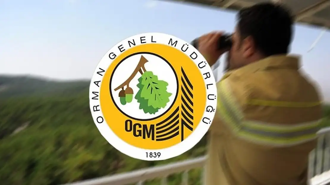 Orman Genel Müdürlüğü 2 bin 83 işçi alımı yapacak! Çok sayıda ilde personel alımı başlıyor! OGM işçi alımı