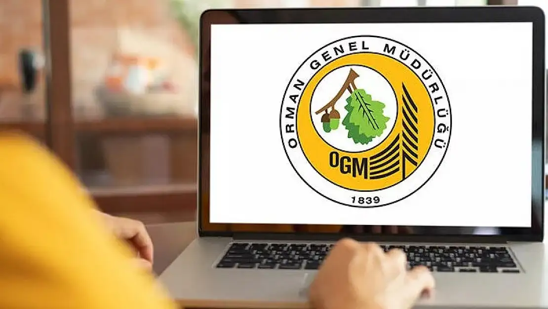 Orman Genel Müdürlüğü (OGM) 249 memur alıyor: Başvurular bu sabah başladı! 54 il için kadro dağılımı belli oldu