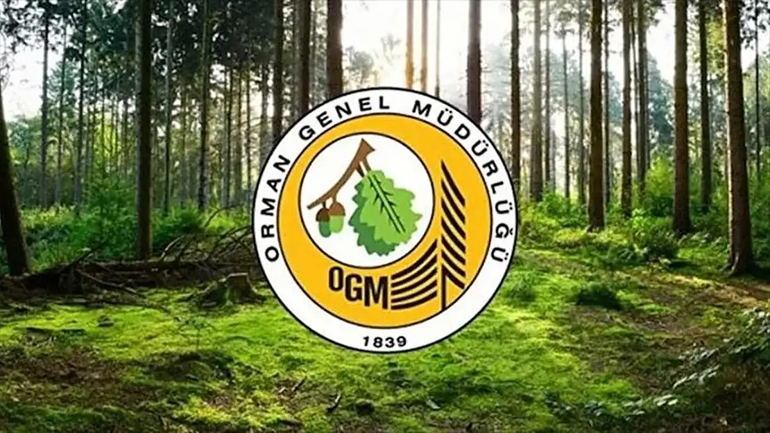 Orman Genel Müdürlüğü personel alımı yapacak! KPSS şartı yok