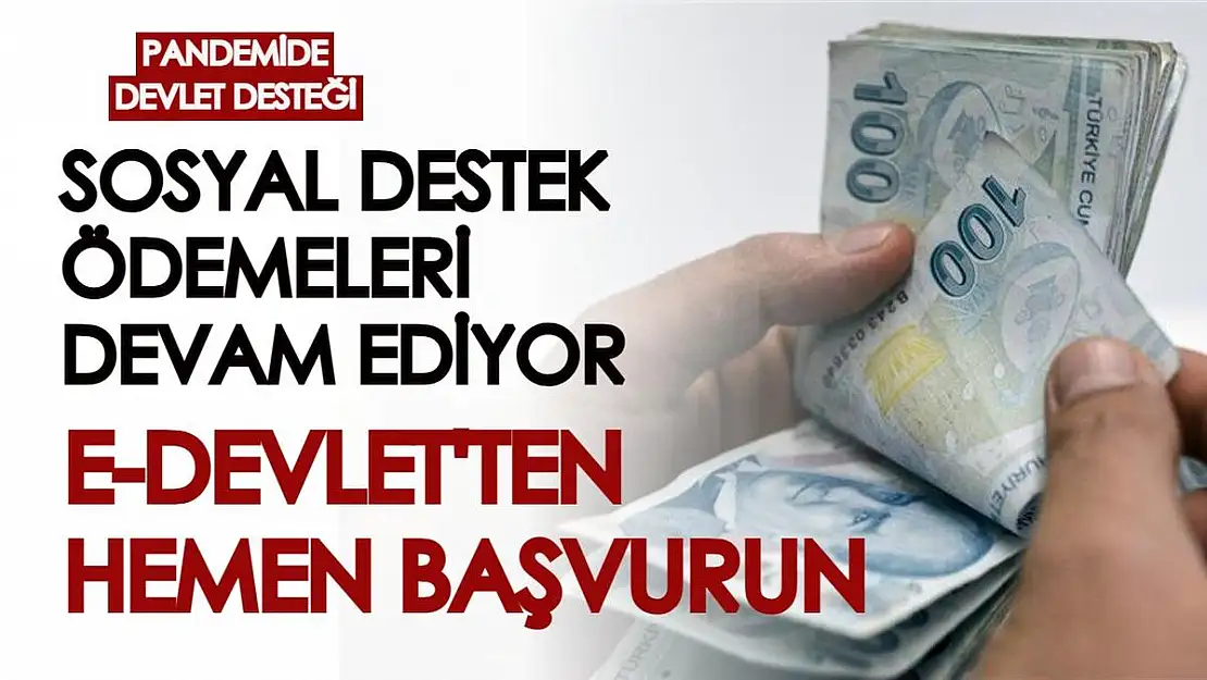 Pandemi sosyal destek ödemeleri devam ediyor! e-Devlet üzerinden başvuru işleminizi hemen yapın