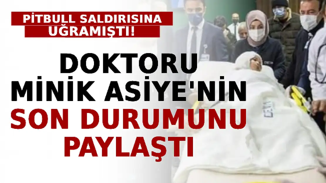 Pitbull Saldırısına Uğramıştı! Doktoru Minik Asiye'nin Son Durumunu Paylaştı