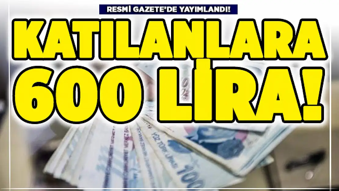 Resmi Gazete'de yayımlandı: Katılanlara 600 lira ödeme yapılacak