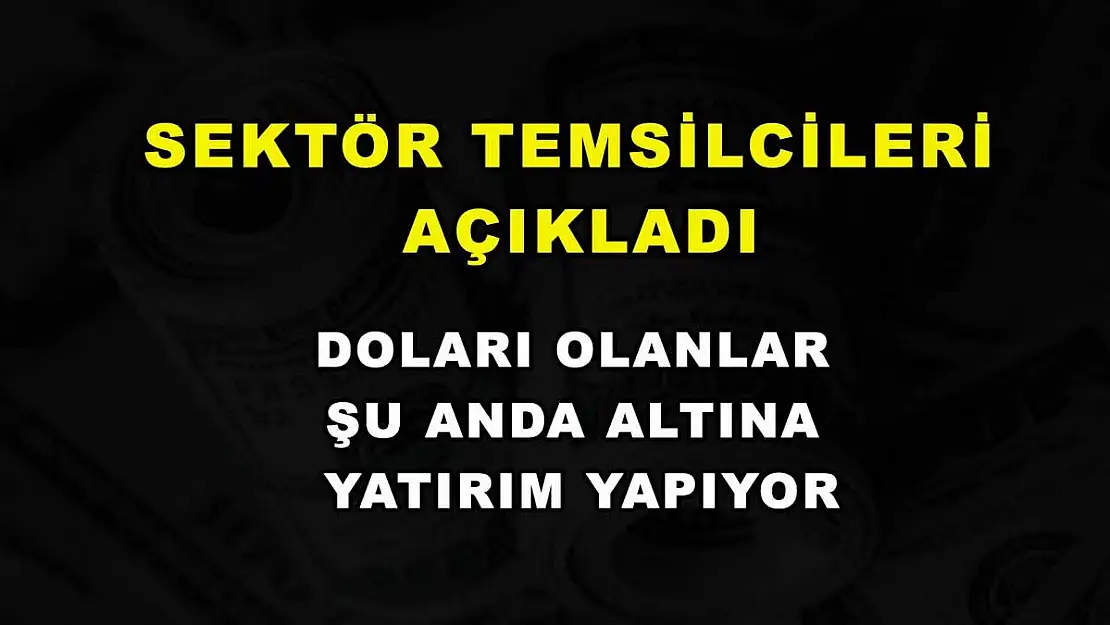 Sektör temsilcileri açıkladı: Doları olanlar şu anda altına yatırım yapıyor