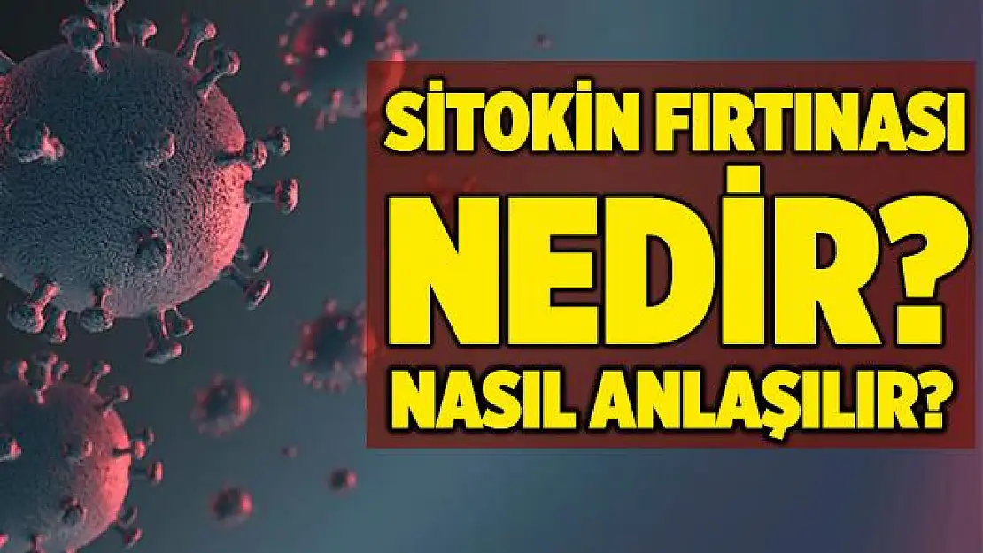 Sitokin fırtınası nedir? Belirtileri ne? Nasıl önlenir?