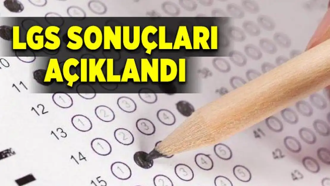 Son dakika 2020 LGS sonuçları açıklandı! MEB LGS sonuç sorgulama