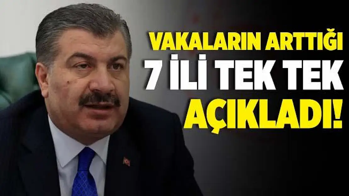 Son dakika Bakan Koca vaka sayısının arttığı 7 ili tek tek açıkladı!