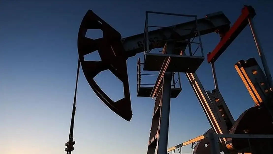 Surinam'ın Petrol Hayalleri Ertelendi