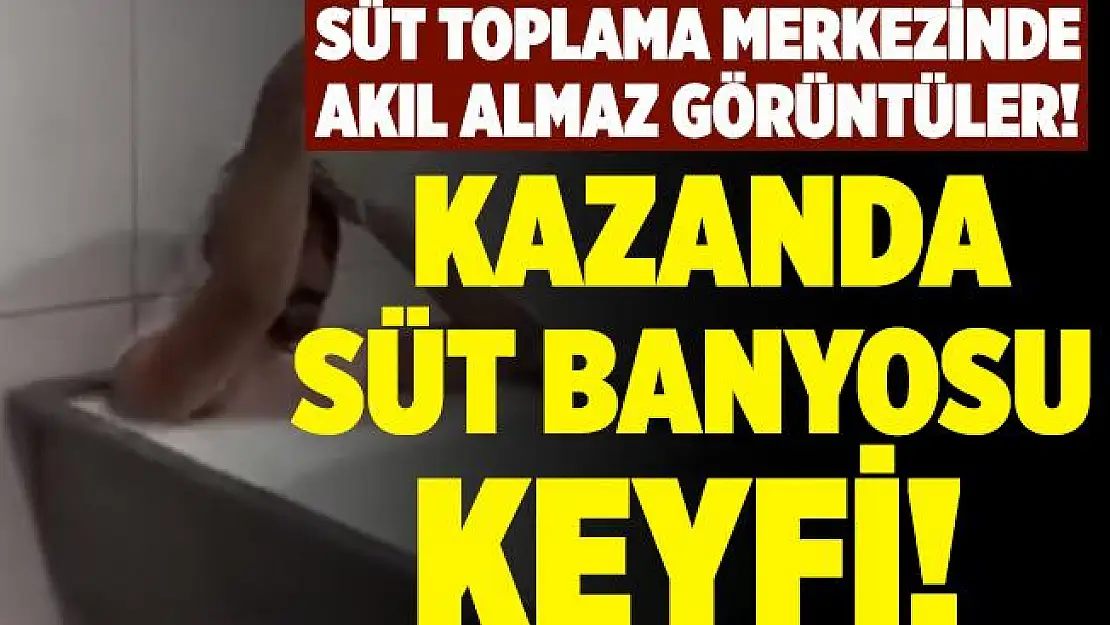 Süt toplama merkezinde akıl almaz görüntüler! Kazanın içine girerek süt banyosu yaptı! Benefit Süt Toplama Merkezi hangi firmalara süt veriyor?