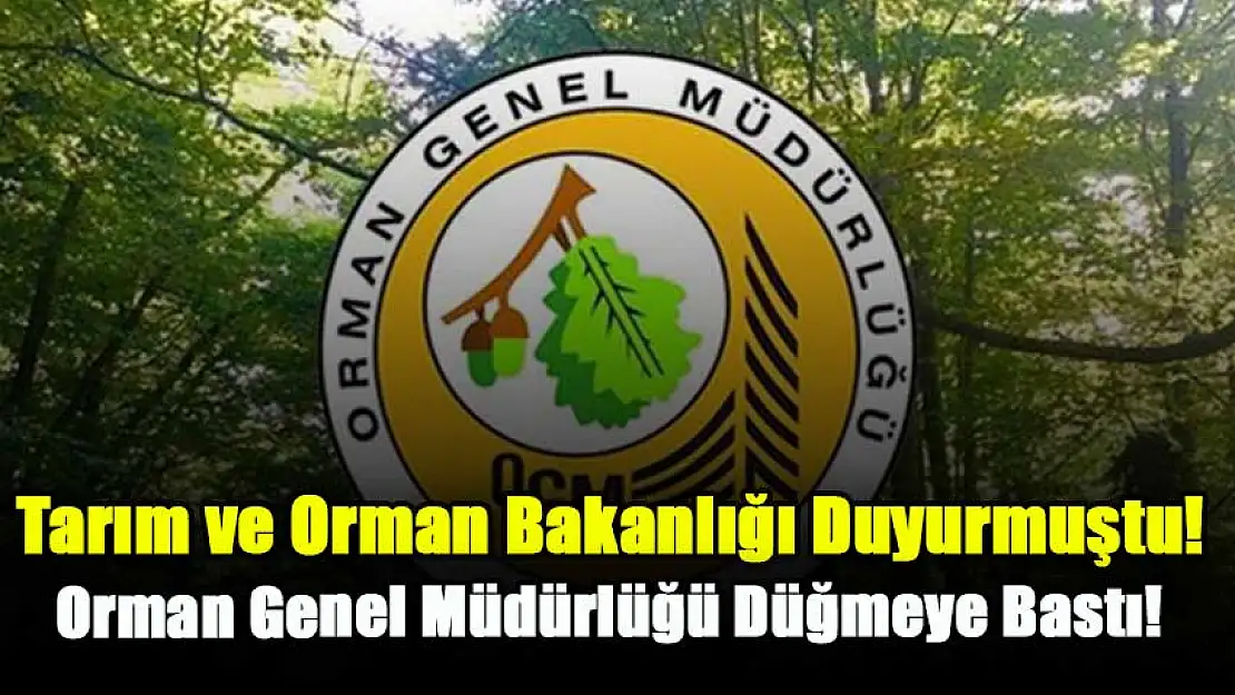 Tarım ve Orman Bakanlığı Duyurmuştu Orman Genel Müdürlüğü Düğmeye Bastı: O İl İçin Personel Alımı Yapılacak! Başvurular Devam Ediyor…