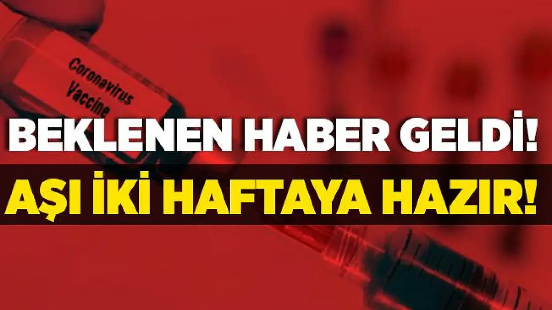Tüm dünya bu haberi bekliyordu! Rusya duyurdu! Koronavirüs aşısı iki hafta içinde hazır olacak!