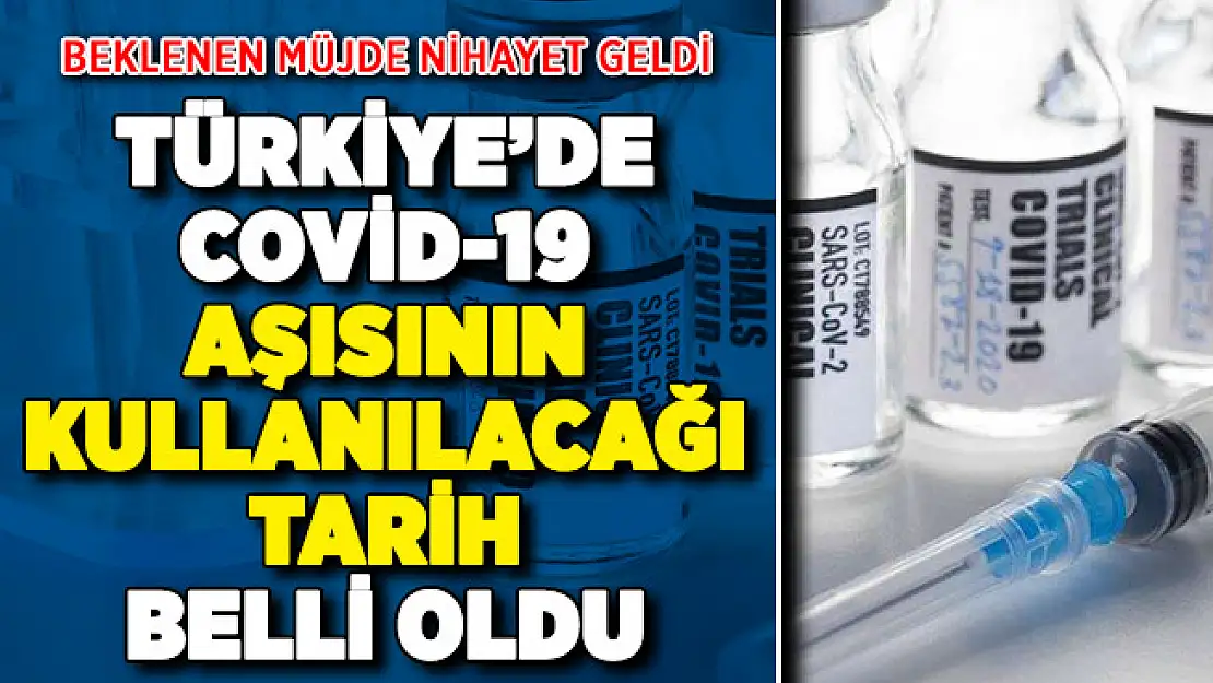 Türkiye'de corona virüs aşısının vatandaşlara uygulanacağı tarih belli oldu