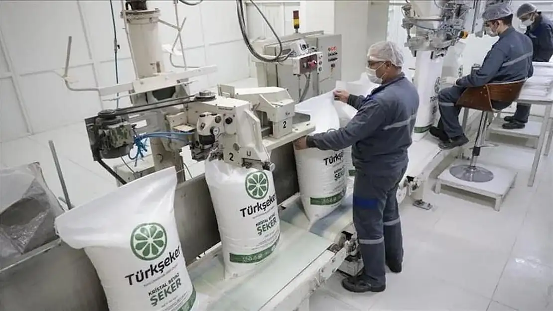 TÜRKŞEKER 613 İşçi Alımı İçin Başvurular Ne Zaman Başlıyor?