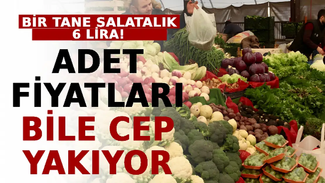 Vatandaş Pazara Gidemiyor! Adet Fiyatları Bile Cep Yakıyor! Bir Tane Salatalık 6 Lira!