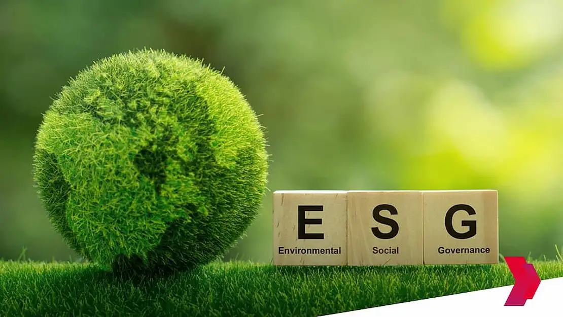 Yatırımcılar ESG'ye değil kârlılığa bakıyor