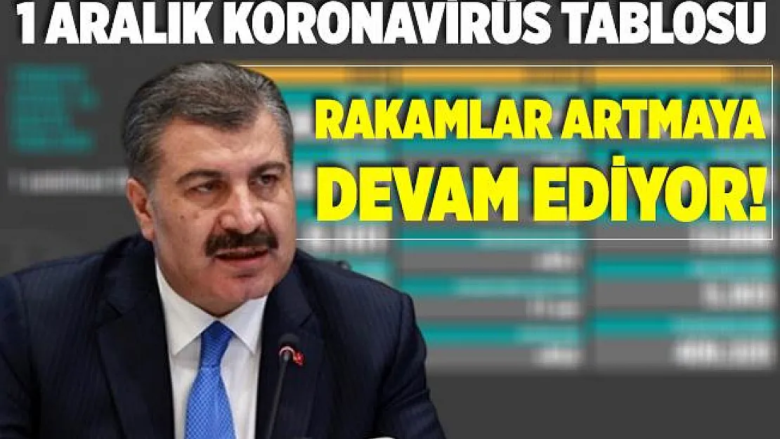 1 Aralık koronavirüs tablosu açıklandı! Türkiye koronavirüs vaka ve vefat sayısındaki rakamlar korkuttu!