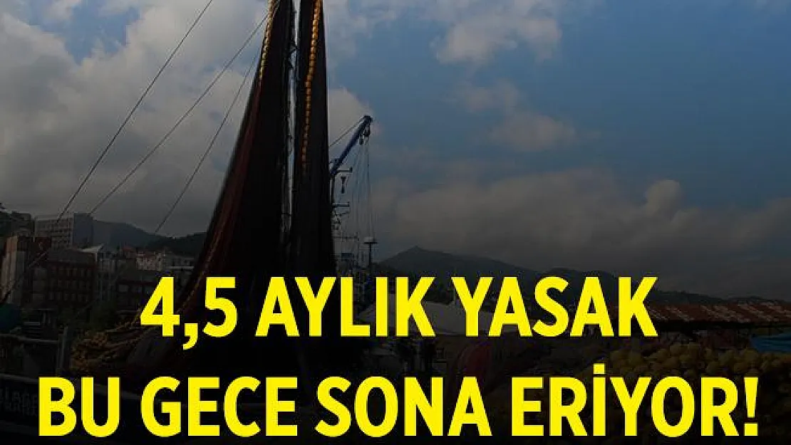 1 Eylül itibariyle av yasağı bitiyor!