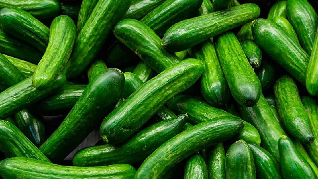 1 kg salatalık fiyatı gündem oldu! 'Biz bunu nasıl kabullendik!'