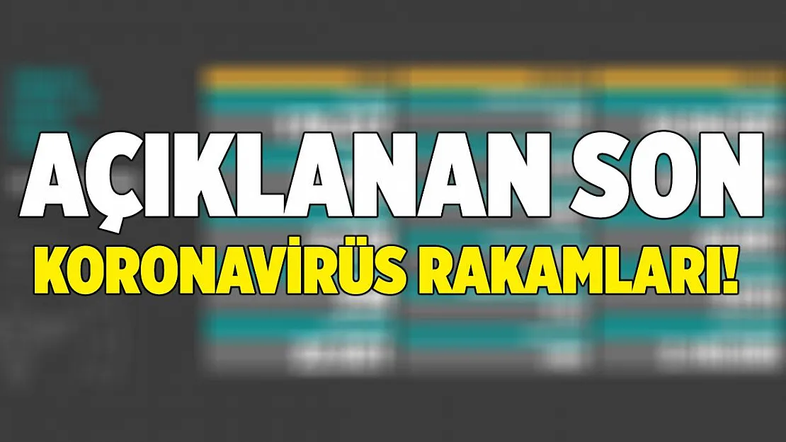1 Ocak korona tablosu belli oluyor! Salgında son durum şaşırttı!
