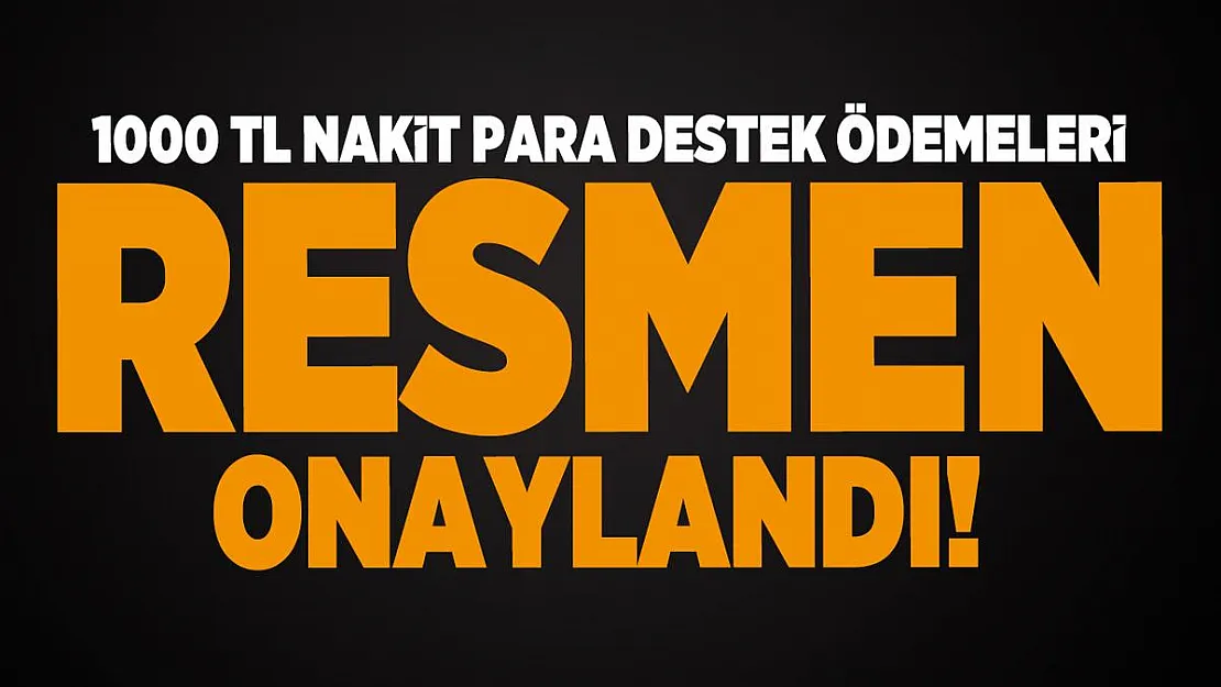 1000 TL nakit para desteği ödemeleri resmen onaylandı! 1000 TL yardım kimler alacak?