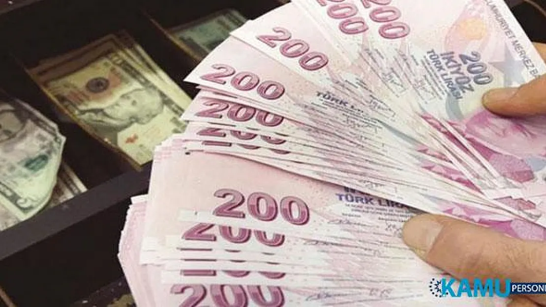 11. Kalkınma Planının Onaylandığına İlişkin Karar Resmi Gazete'nin Mükerrer Sayısında Yayımlandı