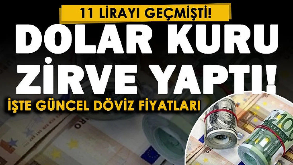 11 lirayı geçen dolar kuru bir kez daha rekor kırdı! Dolar ve euro fiyatları zirve yaptı: İşte 19 Kasım güncel döviz fiyatları