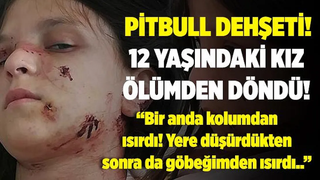 12 yaşındaki kız çocuğu pitbull cinsi 3 köpeğin saldırısına uğradı! Tam 60 dikiş atıldı!