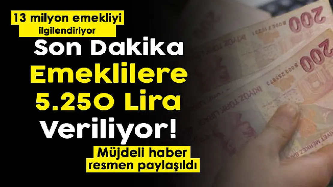13 milyon emekliyi ilgilendiren güzel haber geldi: Tüm emeklilere 5 bin 250 lira veriliyor