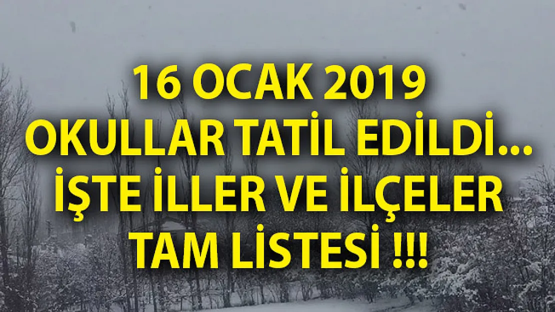 16 Ocak 2019 Çarşamba Okulların Tatil Olduğu İller! Hangi İllerde Okullar Tatil Edildi?