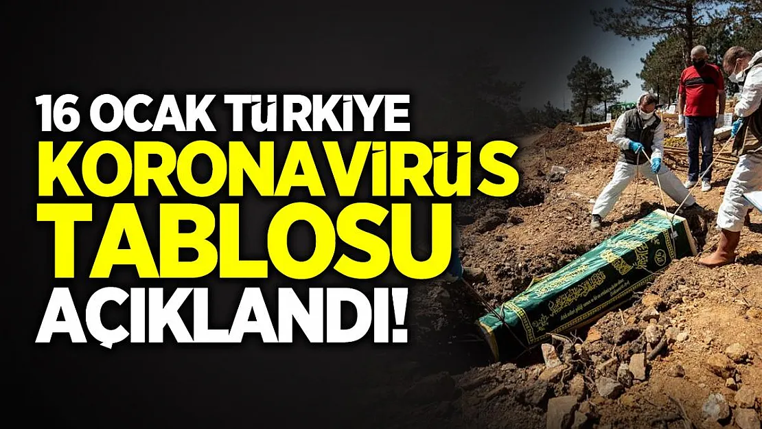 16 Ocak Türkiye koronavirüs tablosu açıklandı! Bugünkü koronavirüs vaka ve ölü sayısı