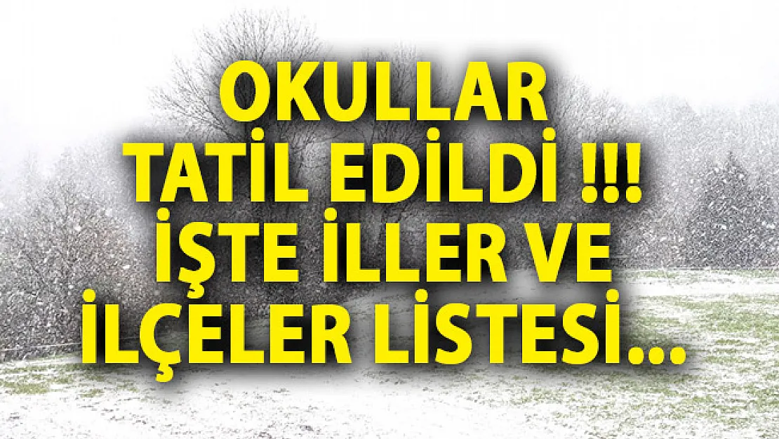 17 Ocak 2019 Perşembe Günü Tatil Olan Okullar! Kar Tatili Olan İl Ve İlçeler Listesi