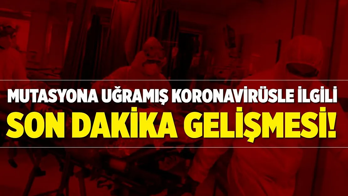 17'den fazla ülkeye sıçrayan mutasyona uğramış koronavirüsle ilgili son dakika gelişmesi!