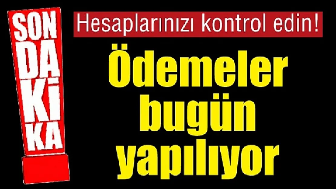 18.00'den sonra hesaplarınızı kontrol edin: Destek ödemelerinin hepsi bugün hesaplarda olacak! Bakan müjdeyi verdi