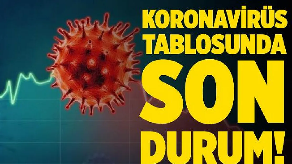 18 Ekim koronavirüs tablosu açıklandı mı? 18 Ekim koronavirüs tablosu son durum nasıl? Güncel hasta ve vefat sayısı kaç?