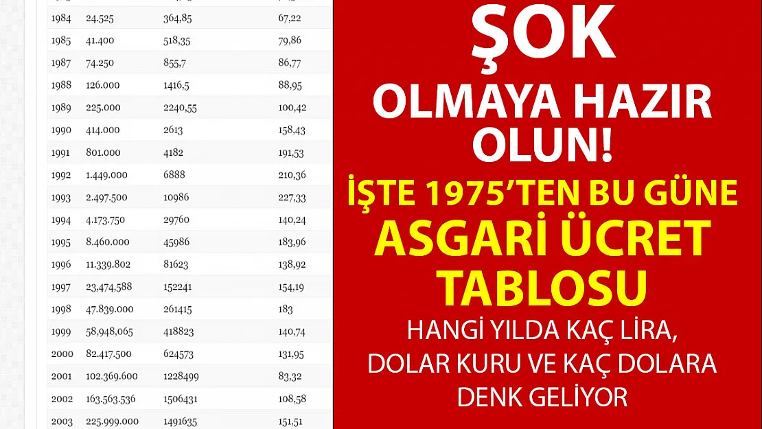 1975 - 2022 arası Asgari ücret tablosu! Yıllara göre dolar üzerinden asgari ücret tutarları