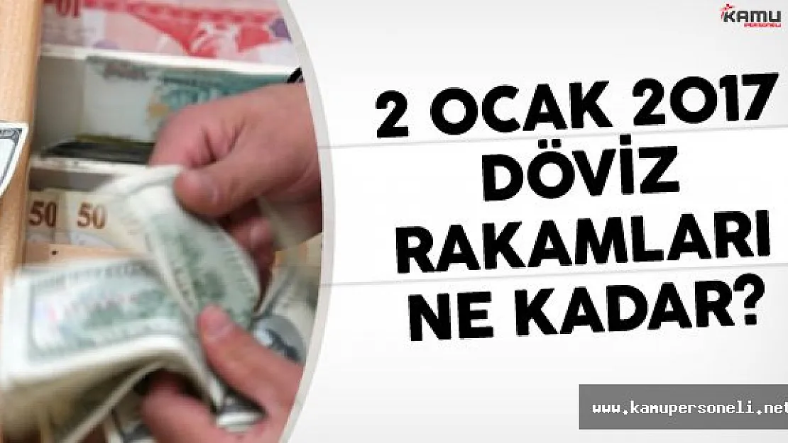 2 Ocak 2017 Döviz Rakamları Ne Kadar
