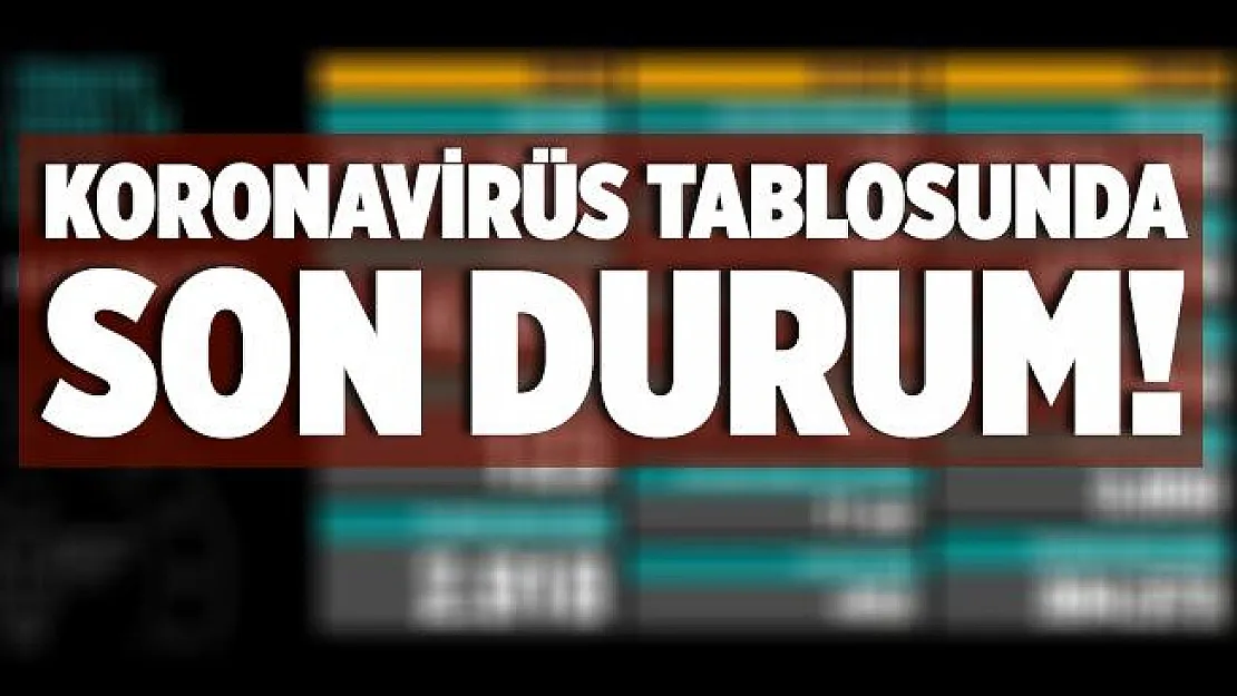 20 Kasım koronavirüs tablosu son durum! Türkiye'de koronavirüs vaka ve vefat sayısı kaç oldu? İl İl koronavirüs verileri..