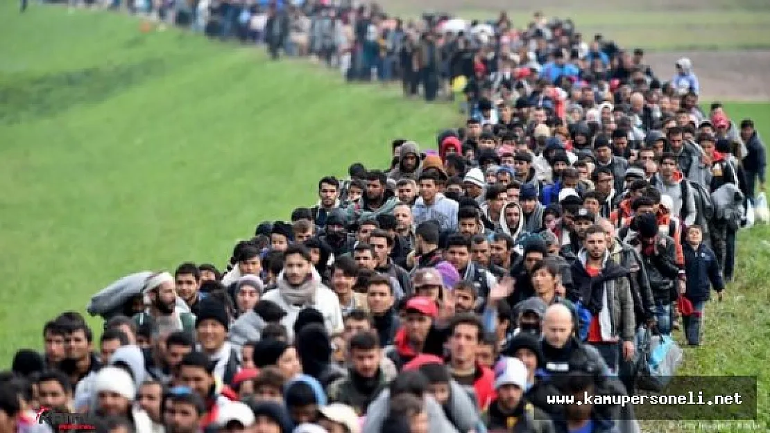 2015 Yılında Sığınmacıların Sayısı 65 Milyona Ulaştı