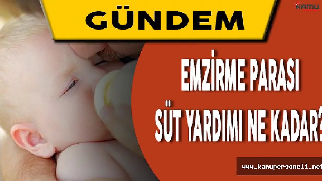 2016 Emzirme Parası Süt Yardımı Ne Kadar?