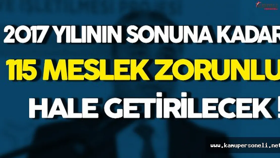 2017 Yılının Sonunda 115 Meslek Zorunlu Hale Gelecek