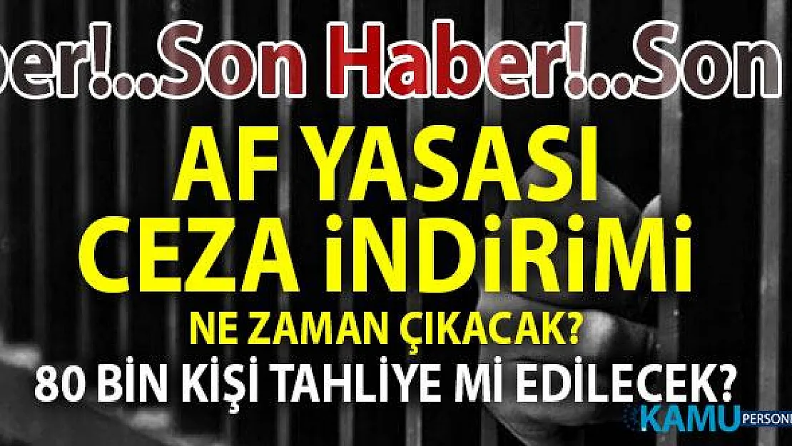 2019 Af Yasası ve Ceza İndirimi Son Dakika yeni haberleri! Çıkarılan yargı paketi ile 80 bin kişi tahliye mi edilecek?