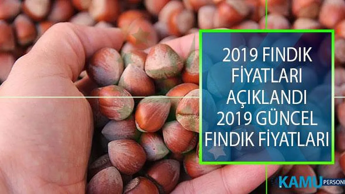 2019 Fındık Fiyatları Açıklandı! Fındık Fiyatları Ne Kadar? 2019 Güncel Fındık Fiyatları