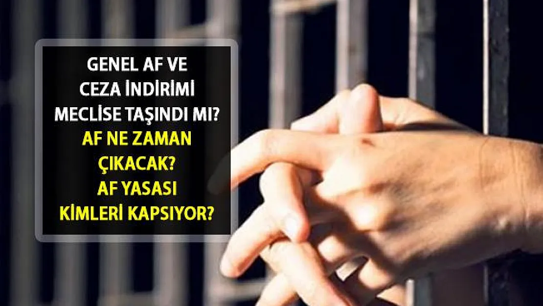 2019 Genel Af ve Ceza İndirimi Yasası Ne Zaman Çıkacak? Genel Af Son Durum Nedir? Af Çıkacak mı?