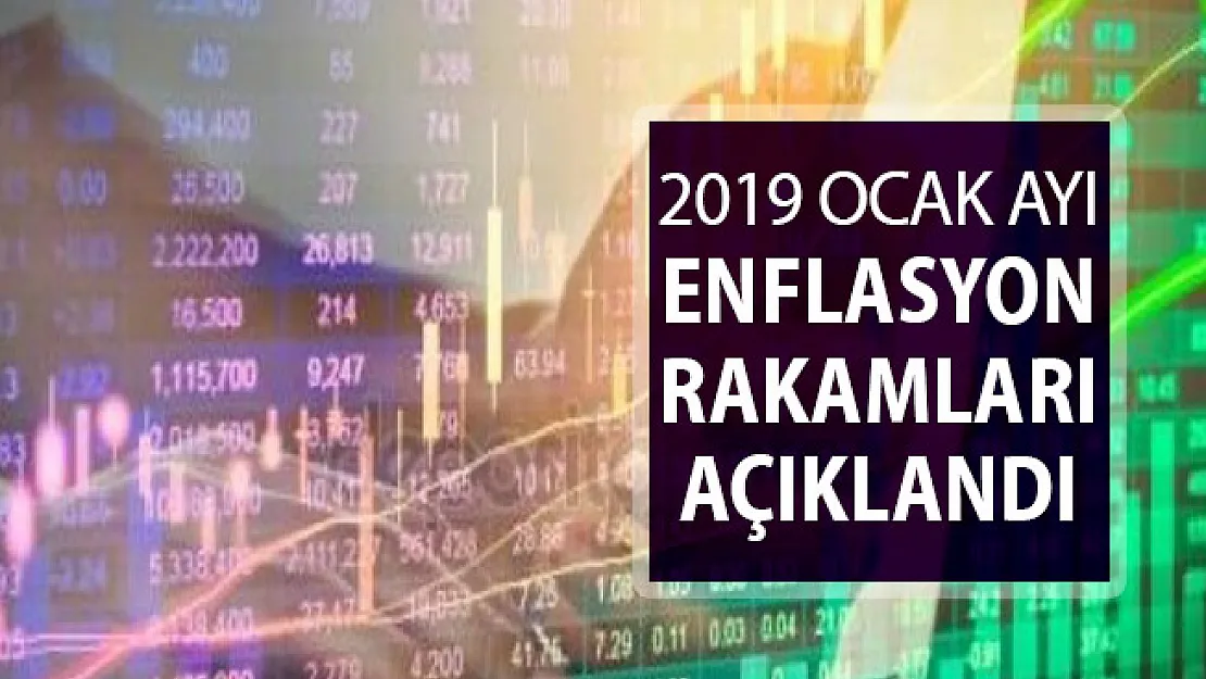 2019 Ocak Ayı Enflasyon Rakamları TÜİK Tarafından Açıklandı !