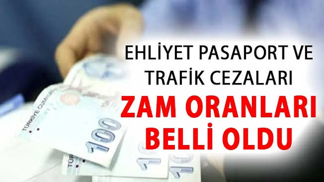 2019 Vergi Harç ve MTV Zam Oranları Belli Oldu ! Ehliyet Pasaport ve Trafik Cezaları Zam Oranları