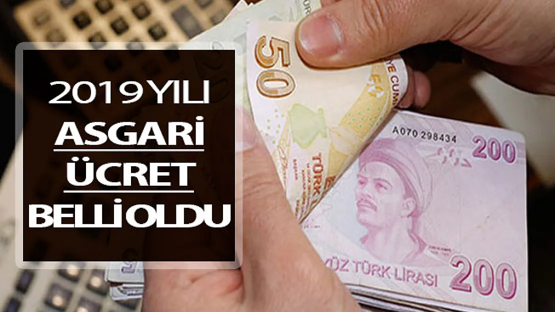 2019 Yılında Geçerli Olacak Asgari Ücret Tutarı Belli Oldu