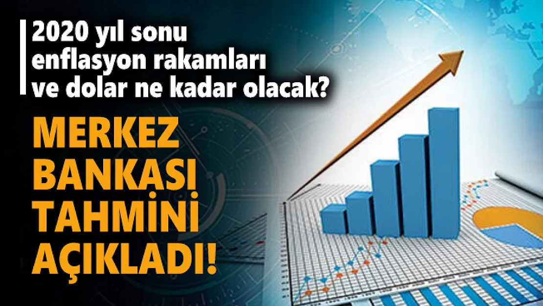 2020 yıl sonu enflasyon rakamları ve dolar ne kadar olacak? Merkez Bankası tahmini açıkladı!